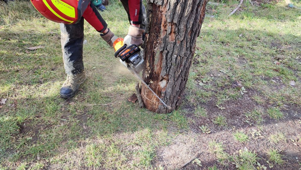 IMG 20231125 110418 verkl